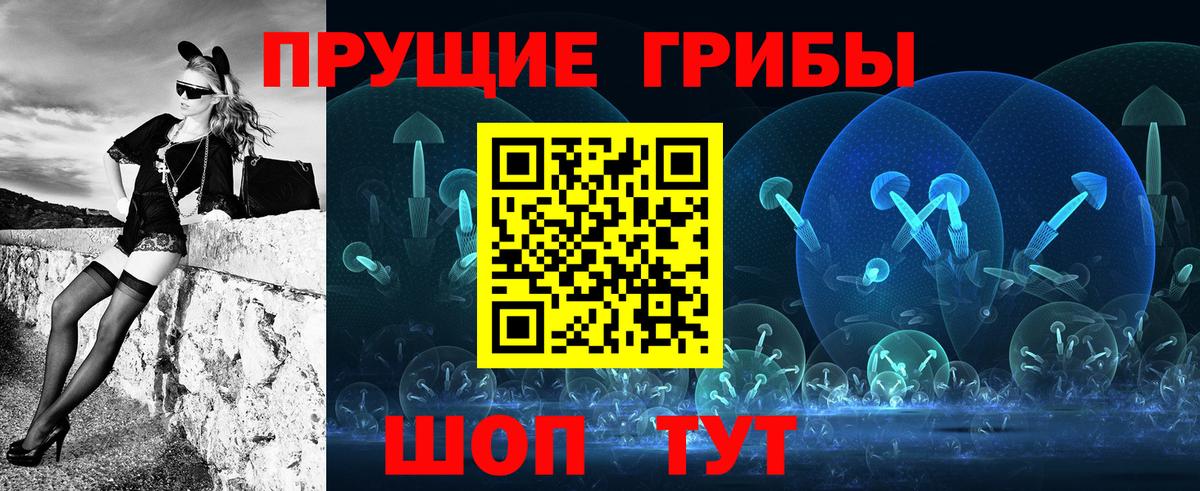Гусиноозёрск  Галлюциногенные грибы MAGIC MUSHROOMS  Вход с VPN 
