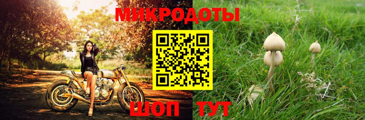 Галлюциногенные грибы мицелий Гусиноозёрск